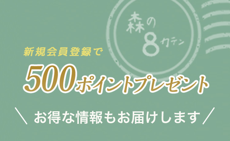 新規会員登録で500ポイントプレゼント